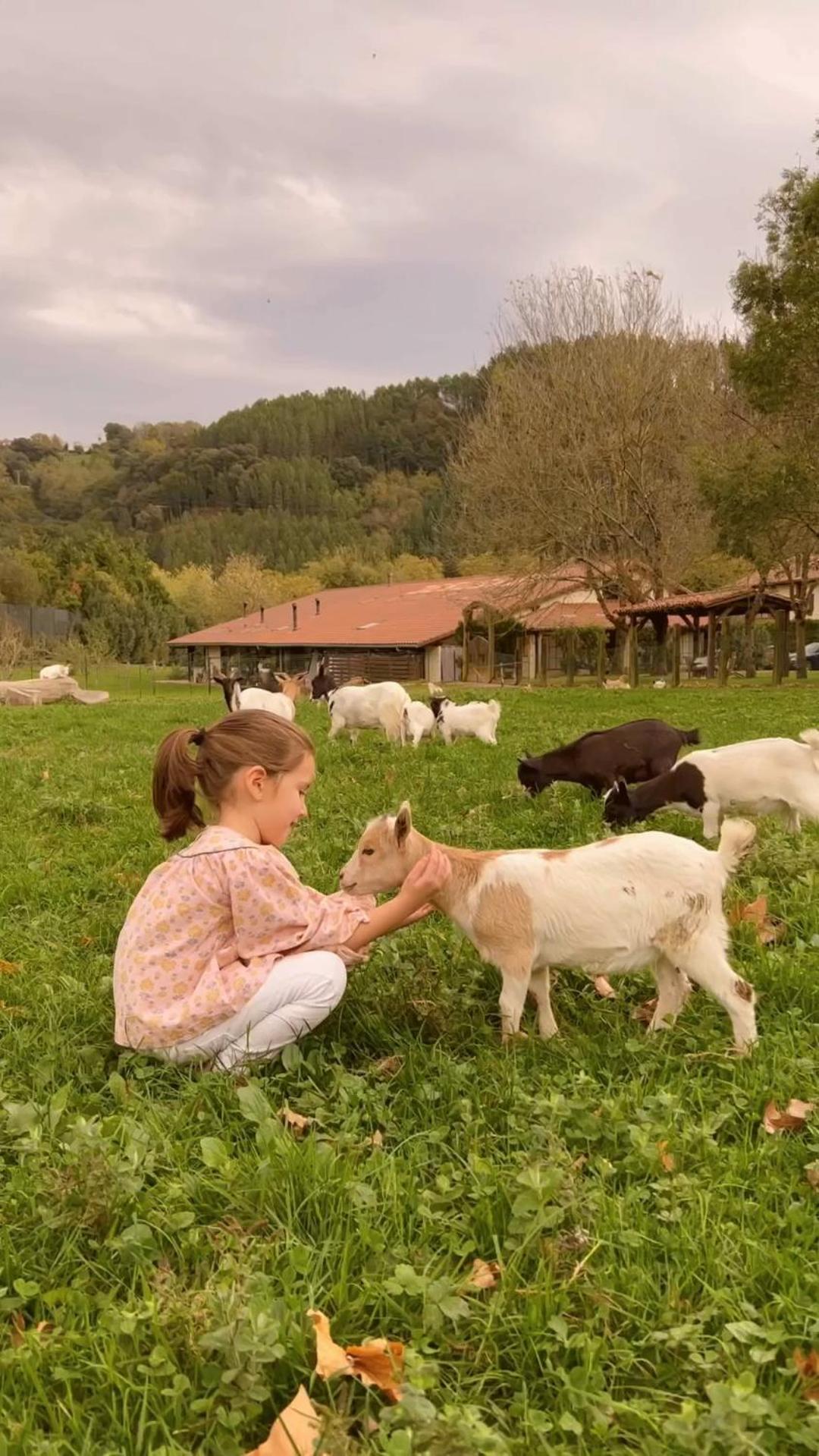 Casa Rural Jesuskoa Zumaia Exteriér fotografie